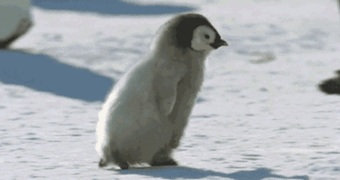 河南任性直降13℃！速凍模式已開(kāi)啟！